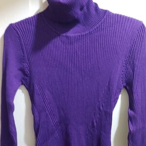 Elegant Purple Ribbed Turtleneck Sweater